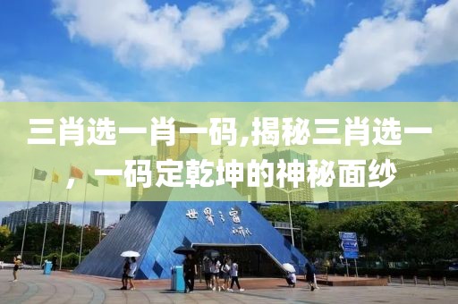 三肖选一肖一码,揭秘三肖选一，一码定乾坤的神秘面纱