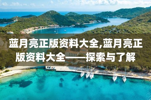 蓝月亮正版资料大全,蓝月亮正版资料大全——探索与了解