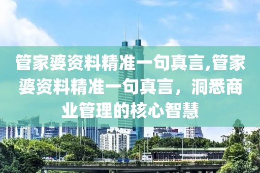 管家婆资料精准一句真言,管家婆资料精准一句真言，洞悉商业管理的核心智慧