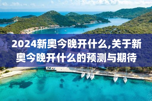 2024新奥今晚开什么,关于新奥今晚开什么的预测与期待