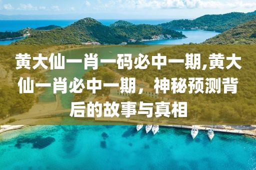 黄大仙一肖一码必中一期,黄大仙一肖必中一期，神秘预测背后的故事与真相
