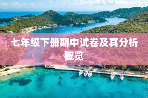 七年级下册期中试卷及其分析概览