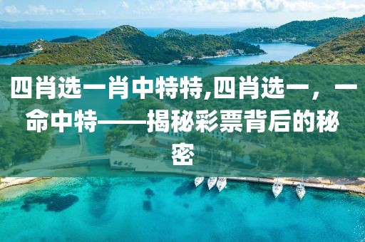 四肖选一肖中特特,四肖选一，一命中特——揭秘彩票背后的秘密