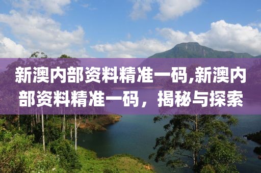 新澳内部资料精准一码,新澳内部资料精准一码，揭秘与探索