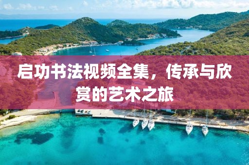 启功书法视频全集，传承与欣赏的艺术之旅