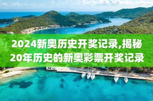 2024新奥历史开奖记录,揭秘20年历史的新奥彩票开奖记录