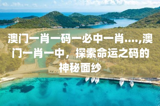 澳门一肖一码一必中一肖....,澳门一肖一中，探索命运之码的神秘面纱