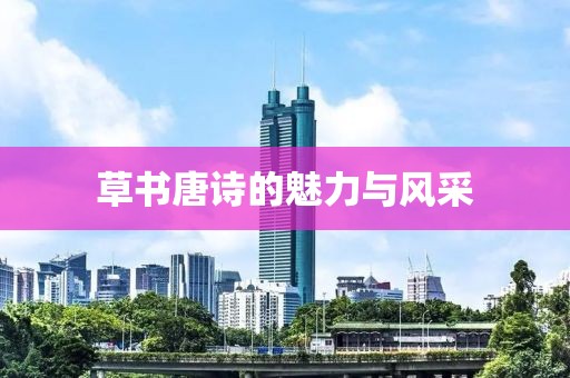 草书唐诗的魅力与风采
