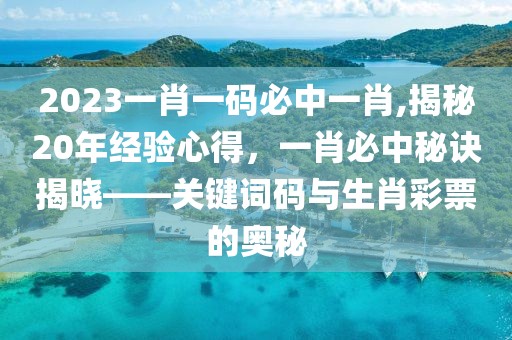 2023一肖一码必中一肖,揭秘20年经验心得，一肖必中秘诀揭晓——关键词码与生肖彩票的奥秘