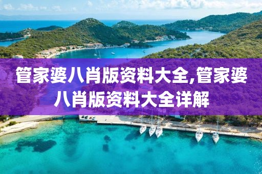管家婆八肖版资料大全,管家婆八肖版资料大全详解