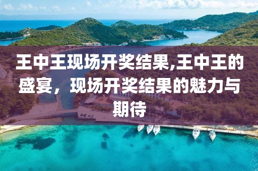 王中王现场开奖结果,王中王的盛宴，现场开奖结果的魅力与期待
