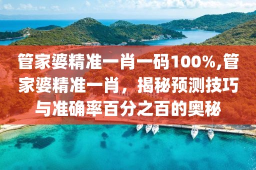 管家婆精准一肖一码100%,管家婆精准一肖，揭秘预测技巧与准确率百分之百的奥秘