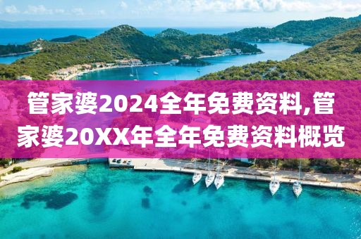 管家婆2024全年免费资料,管家婆20XX年全年免费资料概览