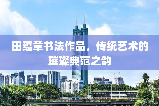 田蕴章书法作品，传统艺术的璀璨典范之韵