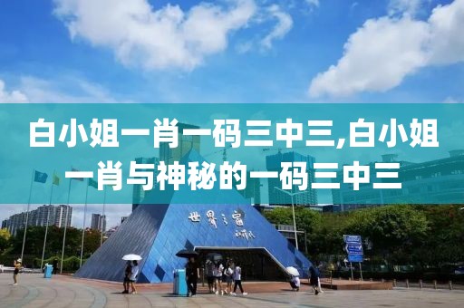 白小姐一肖一码三中三,白小姐一肖与神秘的一码三中三