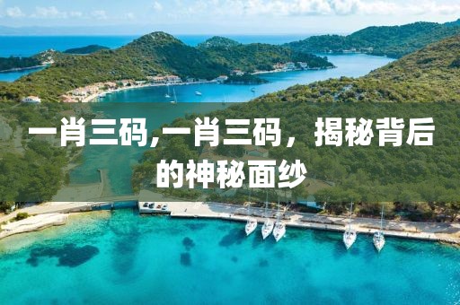 一肖三码