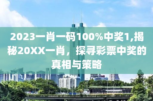 2023一肖一码100%中奖1,揭秘20XX一肖，探寻彩票中奖的真相与策略