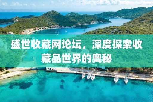 盛世收藏网论坛，深度探索收藏品世界的奥秘