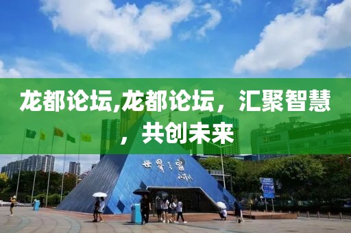 龙都论坛,龙都论坛，汇聚智慧，共创未来