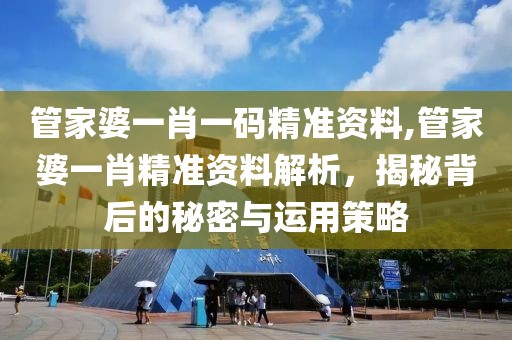 管家婆一肖一码精准资料,管家婆一肖精准资料解析，揭秘背后的秘密与运用策略
