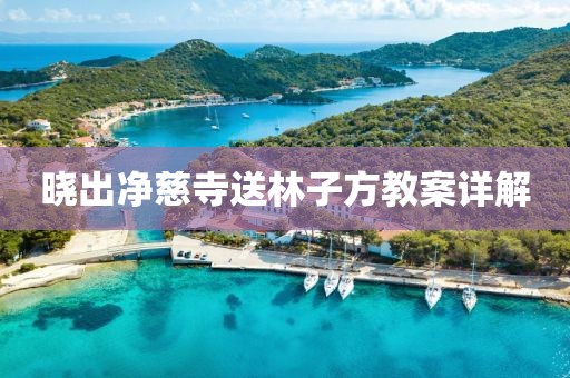 晓出净慈寺送林子方教案详解