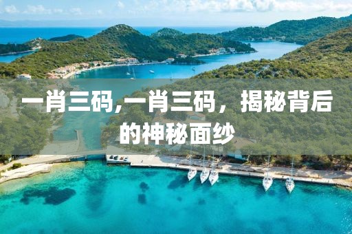 一肖三码,一肖三码，揭秘背后的神秘面纱