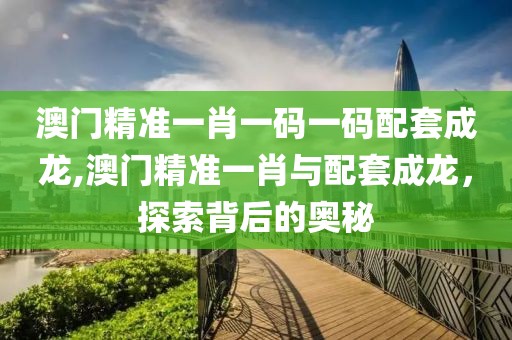 澳门精准一肖一码一码配套成龙,澳门精准一肖与配套成龙，探索背后的奥秘