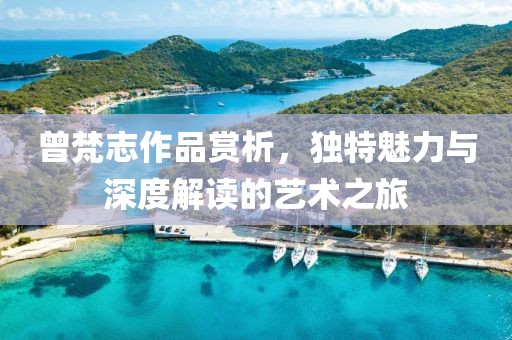曾梵志作品赏析，独特魅力与深度解读的艺术之旅