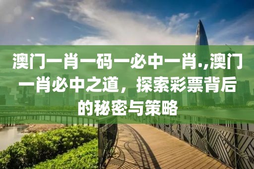澳门一肖一码一必中一肖.,澳门一肖必中之道，探索彩票背后的秘密与策略