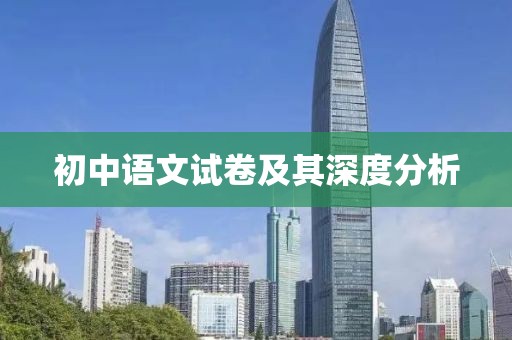 初中语文试卷及其深度分析