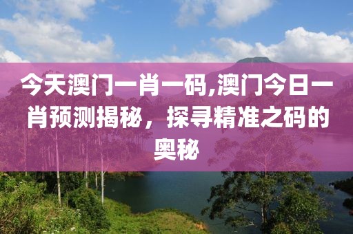 今天澳门一肖一码,澳门今日一肖预测揭秘，探寻精准之码的奥秘