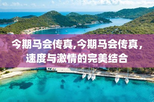 今期马会传真,今期马会传真，速度与激情的完美结合