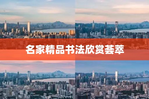 名家精品书法欣赏荟萃