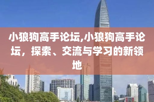 小狼狗高手论坛,小狼狗高手论坛，探索、交流与学习的新领地
