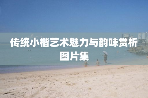 传统小楷艺术魅力与韵味赏析图片集