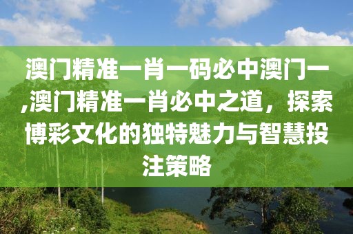 澳门精准一肖一码必中澳门一,澳门精准一肖必中之道，探索博彩文化的独特魅力与智慧投注策略