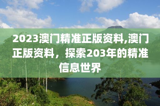2023澳门精准正版资料,澳门正版资料，探索203年的精准信息世界