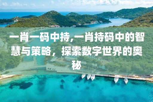 一肖一码中持,一肖持码中的智慧与策略，探索数字世界的奥秘