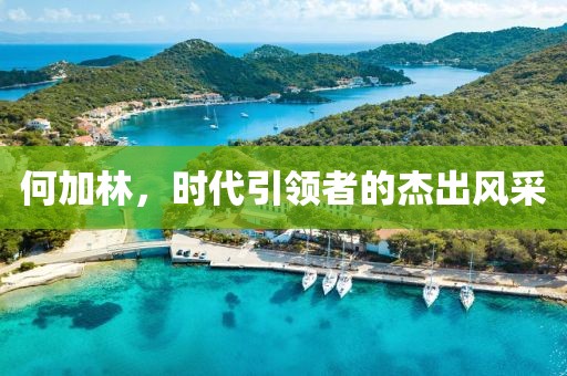 何加林，时代引领者的杰出风采