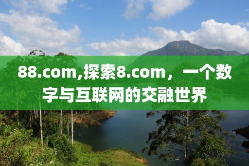 88.com,探索8.com，一个数字与互联网的交融世界