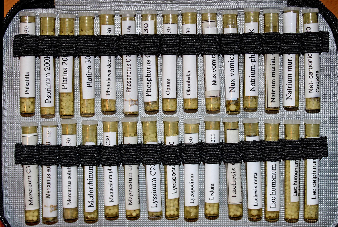 生物实验教学计划，构建知识与技能的桥梁通道
