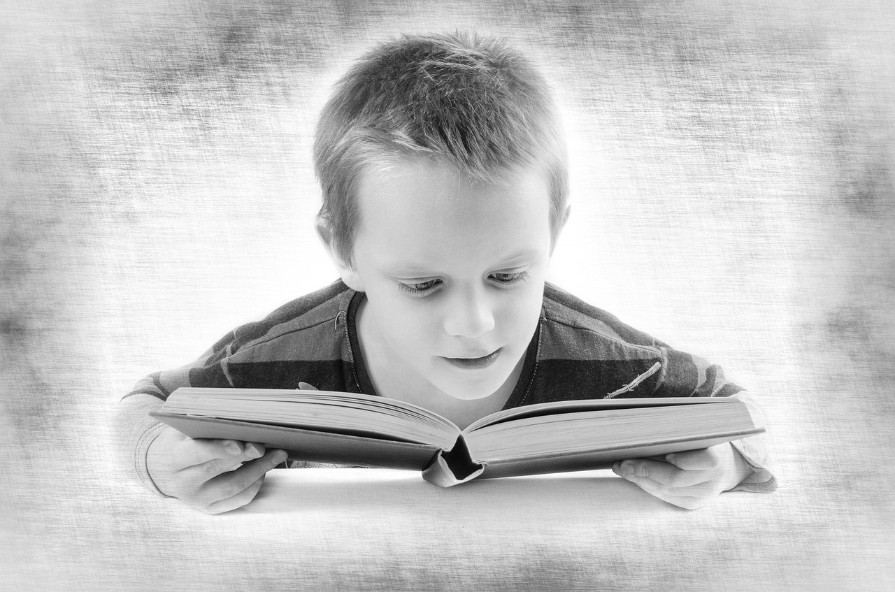 人教版小学一年级语文上册教学计划详解与概览