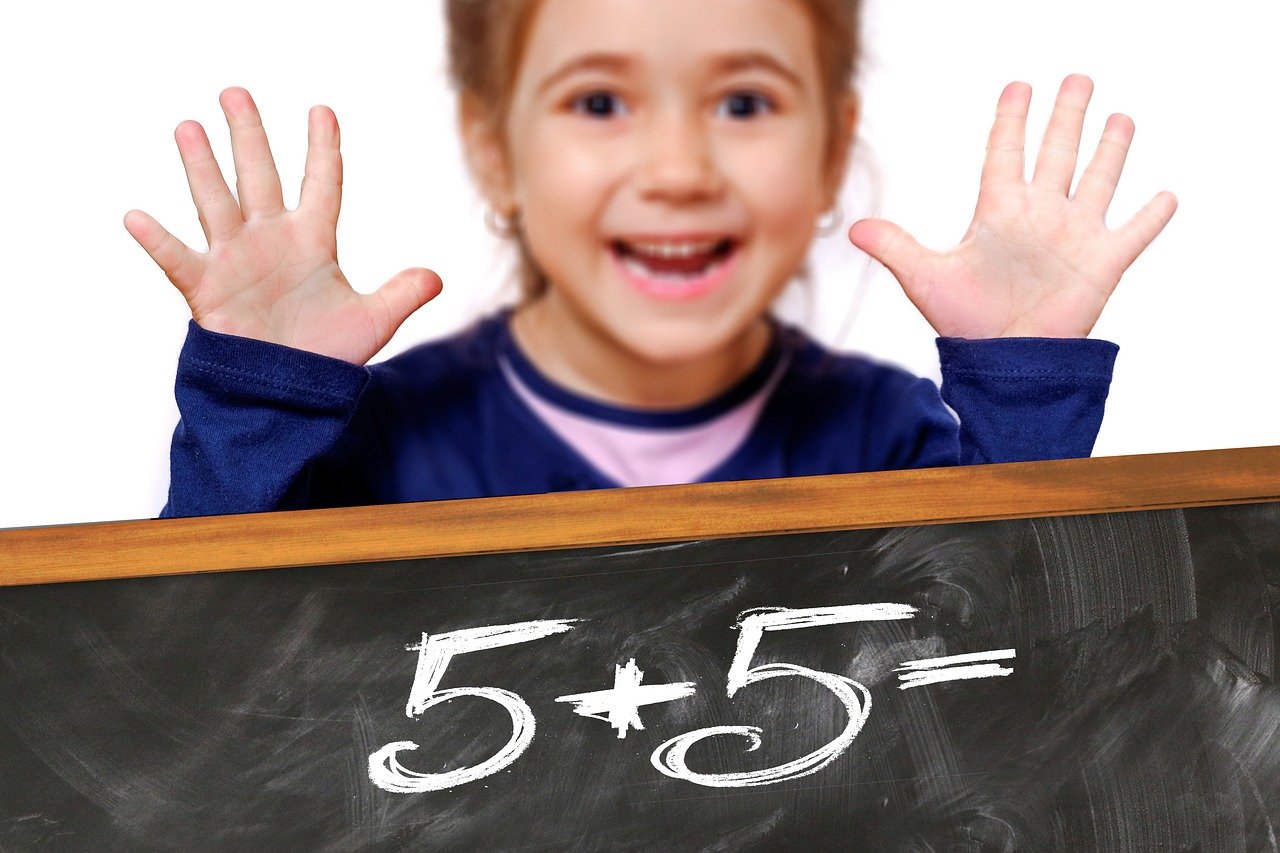 幼儿园中班数学探索之旅，揭开数字世界的奥秘