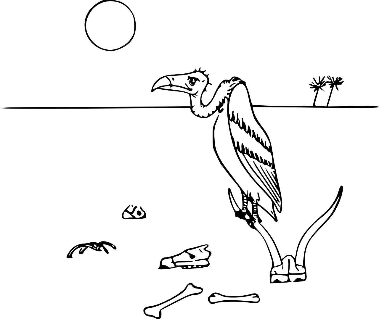 生物教案，探索生命科学的奥秘之旅