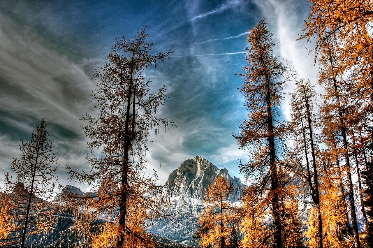 世界最美丽的风景油画欣赏