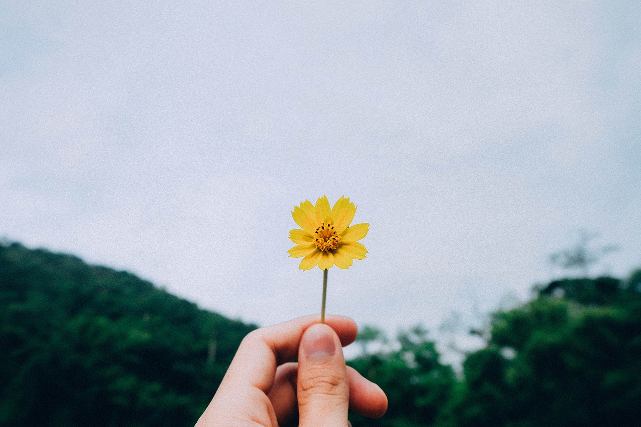 初学者如何入门油画，学习起点与基础技巧