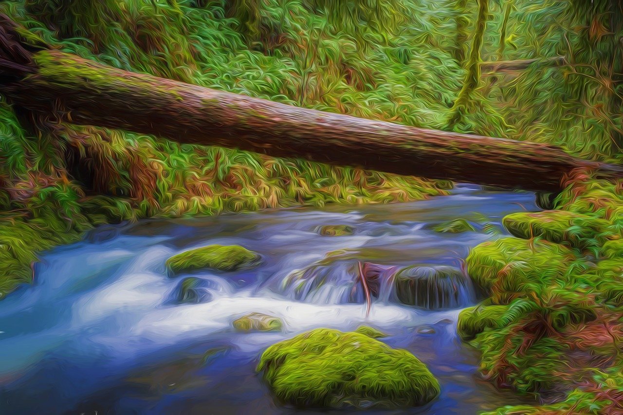 风景油画图片，魅力展现与欣赏指南