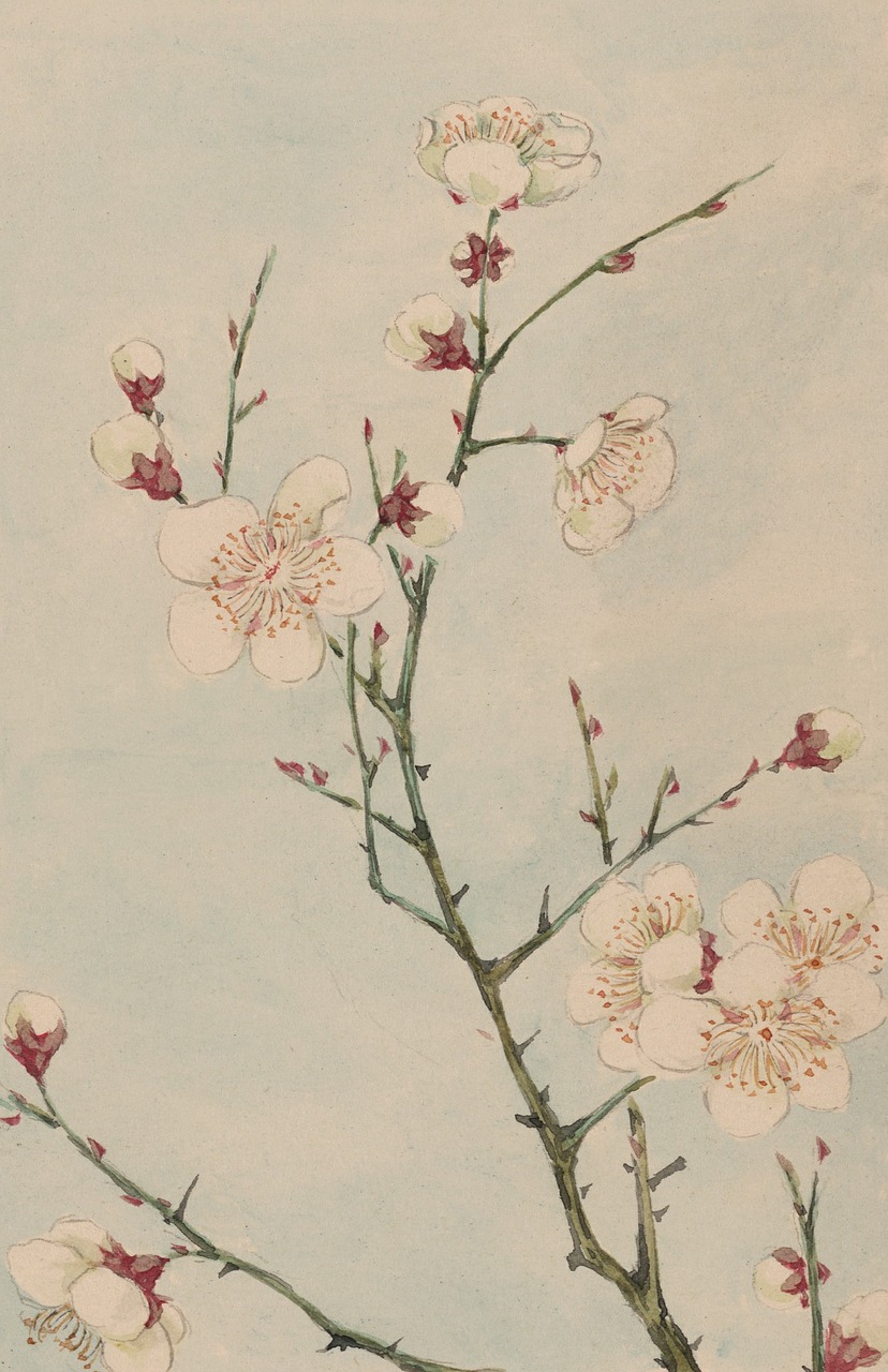 中国十大名画及其艺术魅力的探索与展示