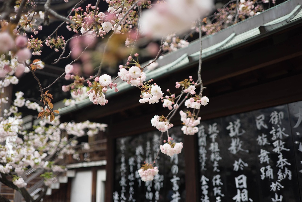 日本油画，传统与现代的完美交融艺术