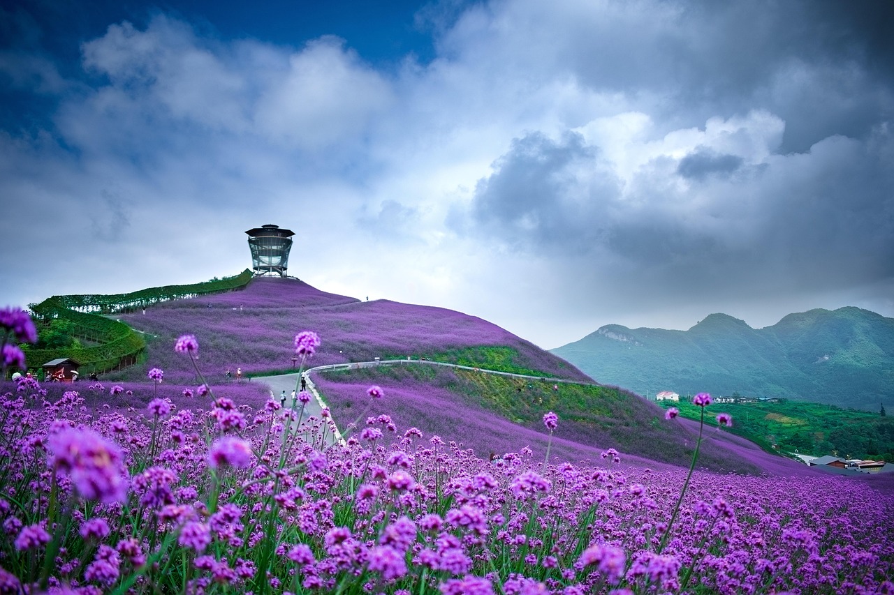 自然美景的风景画图片大全，视觉盛宴呈现自然之美